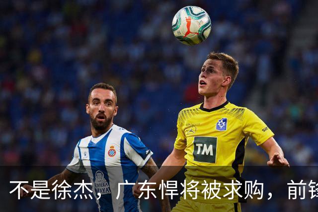 不是徐杰，广东悍将被求购，前锋，杜锋看重，转会费或8位数