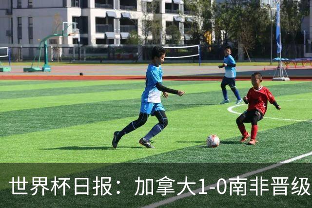 世界杯日报：加拿大1-0南非晋级创历史 韩国主帅洪明甫下课