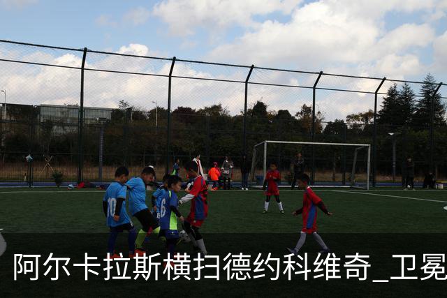 阿尔卡拉斯横扫德约科维奇 卫冕温网赢个人第4冠